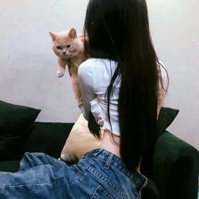烈女雪沉冤在线观看
